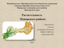 Презентация по географии на тему: Растительность Пожарского района Приморского края (8-9 класс)