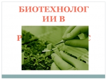 Презентация Биотехнологии в растениеводстве