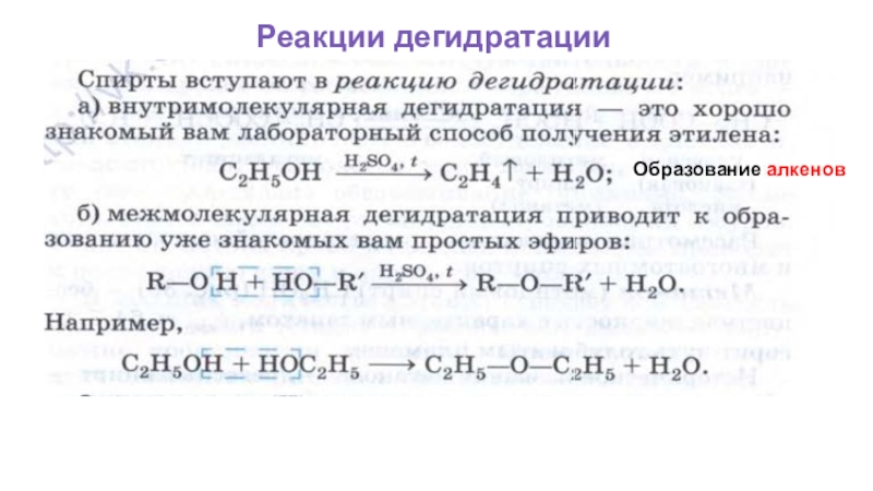 Реакции спиртов 10 класс. Химия 10 класс реакция дегидратации. Дегидратация примеры реакций. Дегидратация это в химии примеры. Реакция дегидратации алкенов.