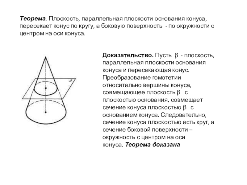 Плоскость основания. Конус плоскость основания конуса. Плоскость параллельная плоскости основания конуса. Конус теоремы про основания. Плоскость параллельная основанию конуса пересекает конус по кругу.