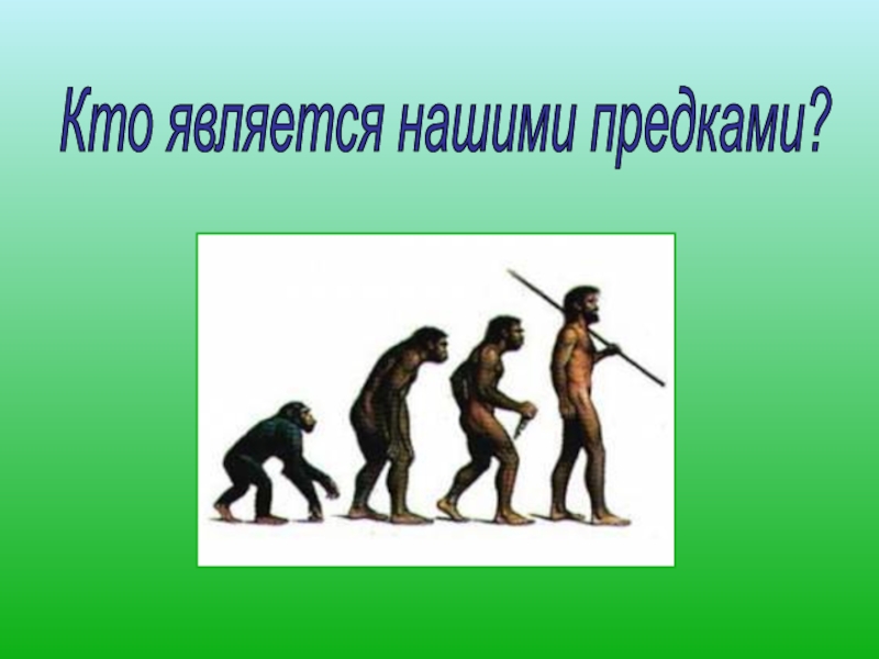 Понятие предков. Предки это определение для детей. Кто наши предки. Нашими предками являются. Кто не является нашим предком?.