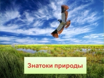 Презентация Викторина Знатоки природы
