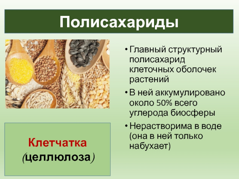 Углеводы биология 10 класс. Клеточная оболочка образована клетчаткой. Запасающая функция липидов. Клеточная оболочка образована клетчаткой или целлюлозой.