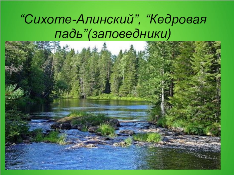 Заповедник кедровая падь презентация