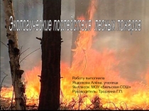 Презентация по теме Экологические последствия лесных пожаров