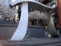 Презентация к уроку математики 6 класс на тему Число ПИ.