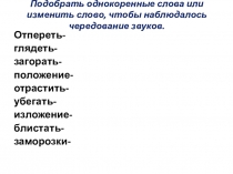 Презентация по русскому языку на тему Буквы И-Ы после Ц в именах существительных