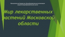 Презентация Мир лекарственных растений Московской области