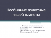 Презентация по окружающему миру на тему Необычные животные нашей планеты.