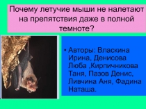 Презентация учащихся по теме Млекопитающие