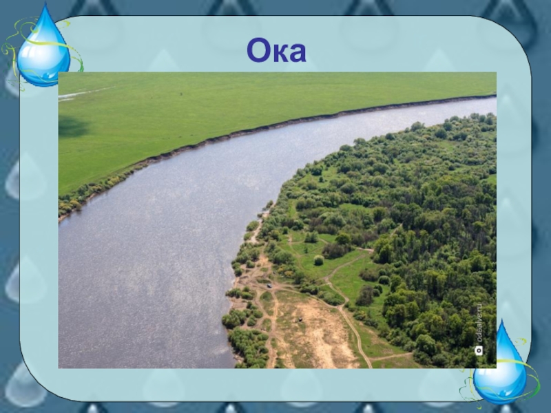 Какие водные объекты находятся в новосибирской области. Водные богатства Новосибирской области. Водные объекты нашего края 2 класс. Окружающий мир водные богатства. Водные богатства 2 класс окружающий.