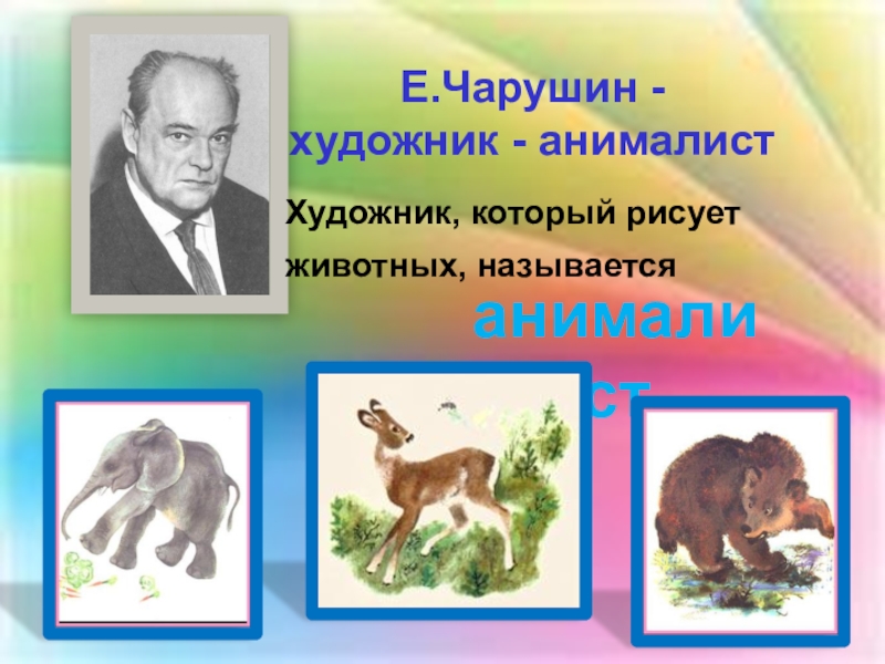 Е.Чарушин - художник - анималистХудожник, который рисует животных, называется