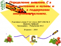 Презентация выступления на конференции Шаг в науку по теме: Определение витамина С в плодах шиповника и калины и его роль в поддержании иммунитета человека