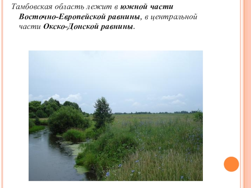 Донская низменности. Восточно-европейская равнина Окско Донская равнина. Окско-Донская низменность Воронежская область. Окско-Донская низменность на карте. Тамбовская низменность.