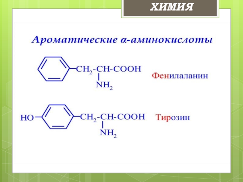 Презентация по химии аминокислоты