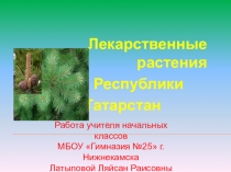 Презентация по окружающему миру на тему Лекарственные растения