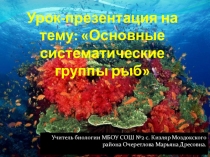 Систематические группы рыб