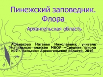 Презентация Пинежский заповедник. Флора