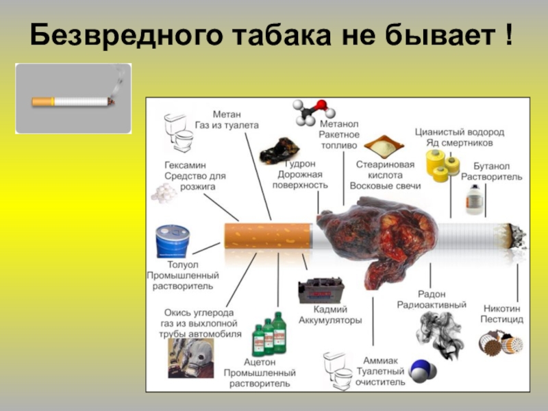 Табак и здоровье легких презентация