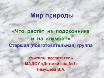 Мир природы. Что растёт на подоконнике и на клумбе?