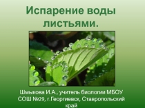 Презентация по биологии на тему Испарение воды листьями. Листопад