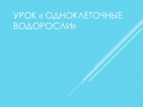 Презентация  Одноклеточные водоросли 6 класс