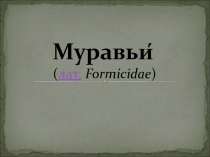 Презентация по биологии Муравьи (5 класс)