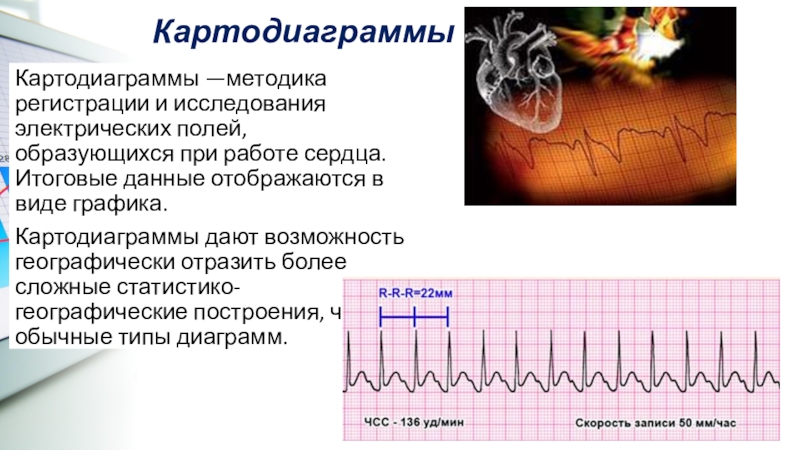 Проект диаграммы вокруг нас 6 класс