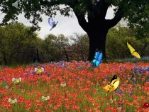 Презентация по математике Старинные способы вычисления.