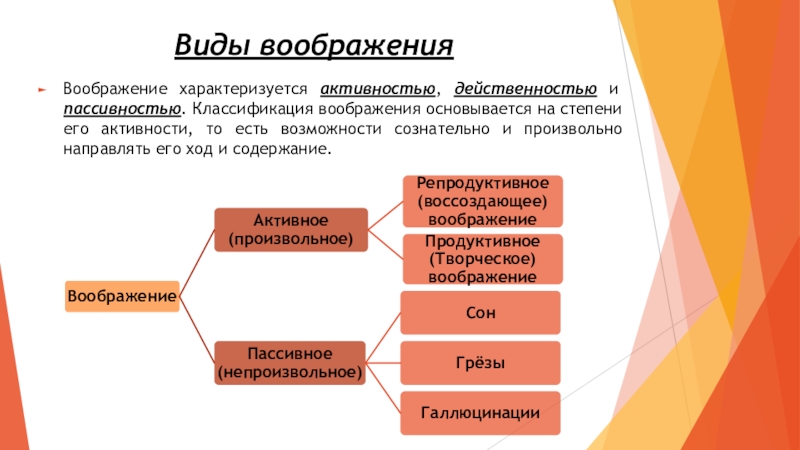 Реферат: Воображе ние функции и виды