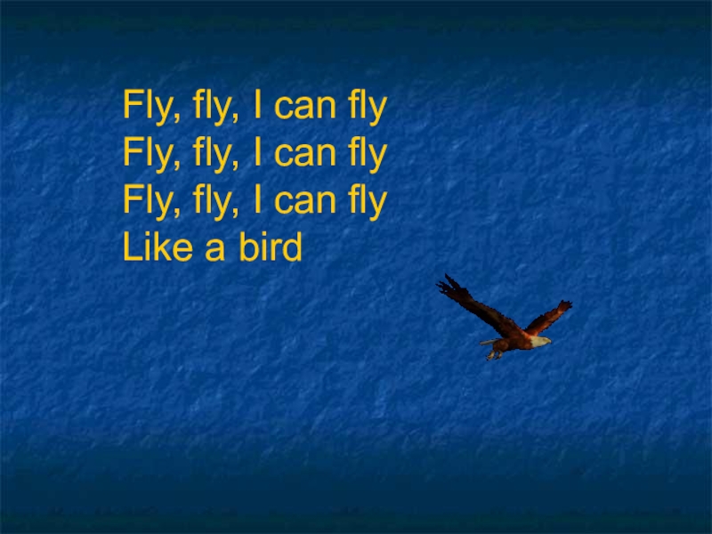 I like to fly my. Can Fly. I can Fly like a Bird. I can Fly английском. Fly Flying правило.