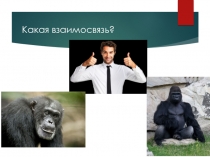 Презентация по теме: Этапы происхождения человека 8 класс