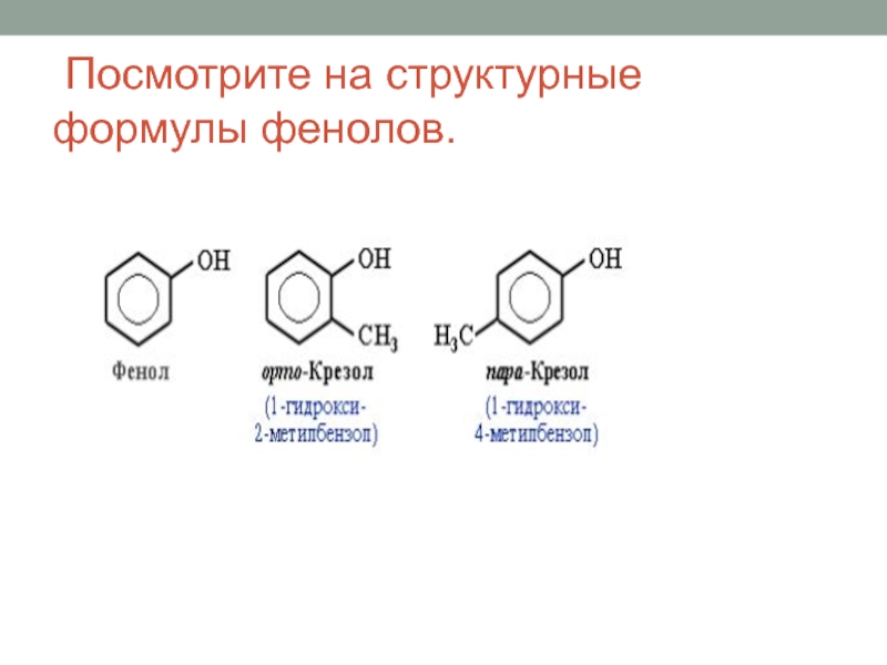 Фенол проект по химии