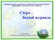 Презентация Стерх- белый журавль