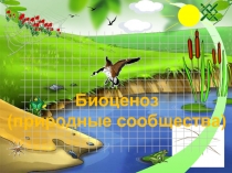 Презентация по биологии на тему Природные сообщества (7 класс)
