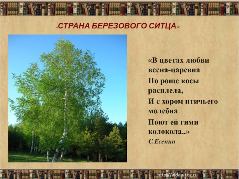 черно белый березовый ситец текст