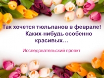 Презентация проекта по окружающему миру