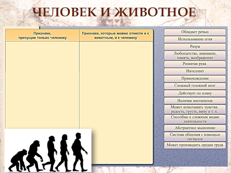 План конспект урока по обществознанию 8 класс