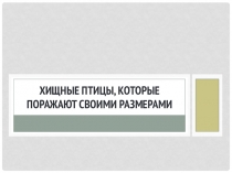 Хищные птицы, которые поражают своими размерами