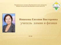 Самопрезентация Новиковой Е.В., учителя химии и физики