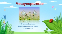 Презентация к уроку биология по теме Чешуекрылые
