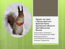 Презентация по биологии Притобольская белка