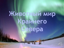 Животный мир Крайнего Севера