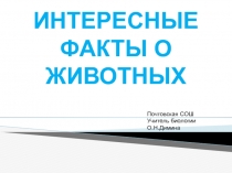 Презентация по биологииИнтересные факты о животных