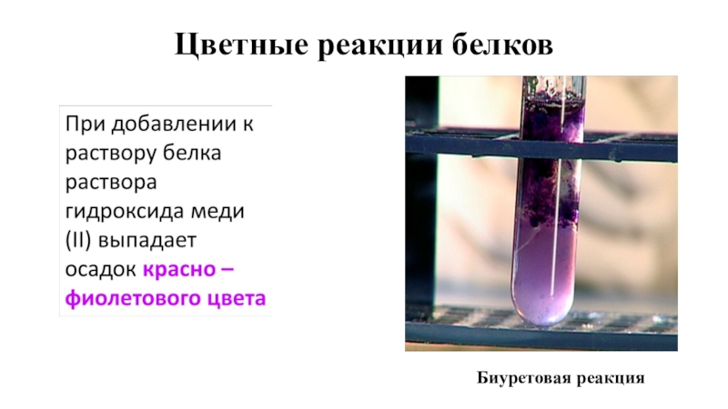 Цветные реакции растворов. Цветные реакции белков биуретовая реакция. Биуретовая качественная реакция на белок. Цветные реакции на белки биуретовая. Реакция Пиотровского биуретовая реакция.