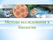 Презентация к уроку Методы исследования в биологии