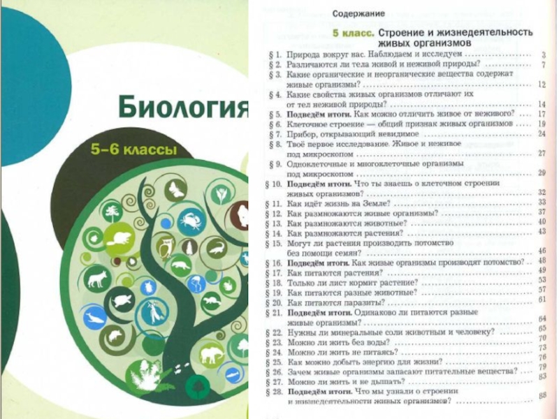 Содержание биологии. Содержание биология класс. Биология 6 класс содержание. Клеточное строение живой и неживой природы. Биология 6 класс учебник Никишов.