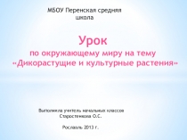 Урок по окружающему миру на тему Дикорастущие и культурные растения