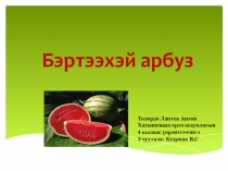 Презентация к докладу Бэртээхэй арбуз