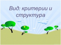 11 класс Вид, критерии и структура.